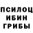 Псилоцибиновые грибы Psilocybe Kirill Ch.